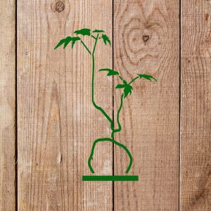 Bonsai Tree Stencil - Art and Wall Stencil - Image 5