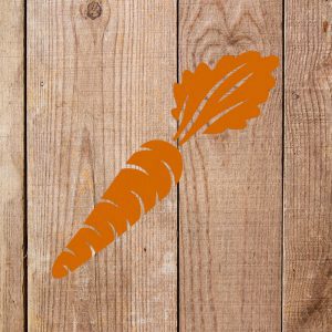 Carrot Stencil - Art and Wall Stencil - Image 4