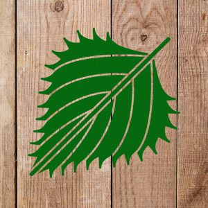 Leaf Stencil - Art and Wall Stencil - Image 5