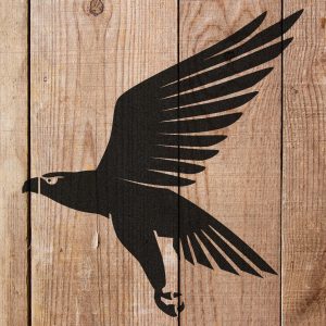 Flying Eagle Hawk Stencil - Art and Wall Stencil - Image 3