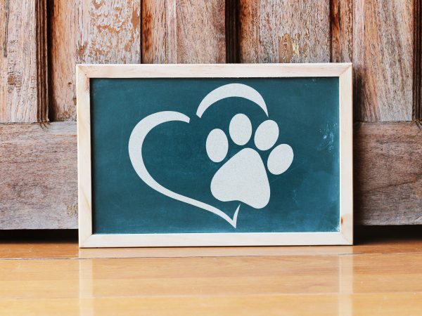 Dog Paw Print Wall Stencil by DeeSigns