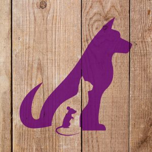 Dog, Cat and Mouse Stencil - Art and Wall Stencil - Image 4
