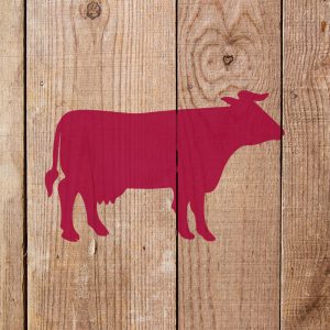 Cow Stencil - Art and Wall Stencil - Image 4