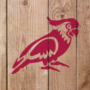 Parrot Stencil - Art and Wall Stencil - Image 4