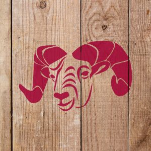Rams Head Stencil - Art and Wall Stencil - Image 4