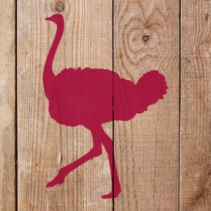 Ostrich Stencil - Art and Wall Stencil - Image 4