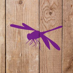 Dragonfly Stencil - Art and Wall Stencil - Image 4