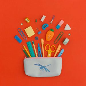 Dragonfly Stencil - Art and Wall Stencil - Image 5