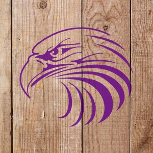 Eagles Head Stencil - Art and Wall Stencil - Image 4