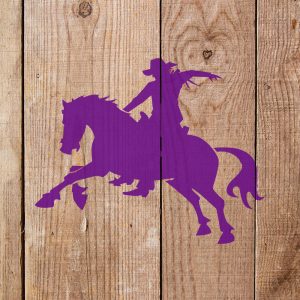 Cowboy Horse Rodeo Stencil - Art and Wall Stencil - Image 4