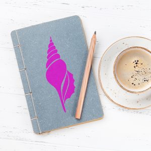 Sea Shell Stencil - Art and Wall Stencil - Image 3