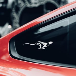 Panther Stencil - Art and Wall Stencil - Image 5