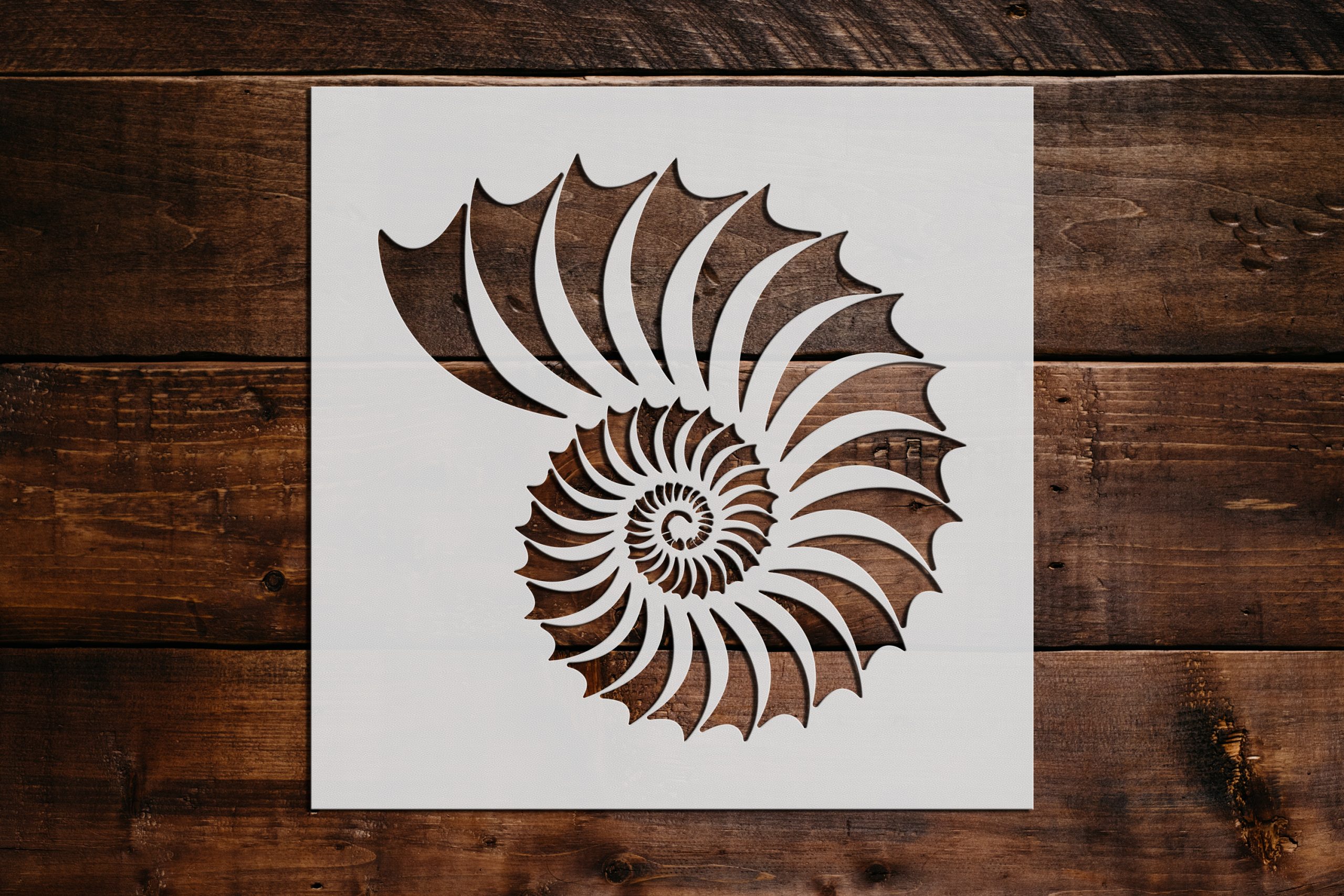 Sea Shell Stencil Art and Wall Stencil Stencil Giant