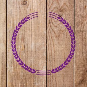 Circle Design Stencil - Art and Wall Stencil