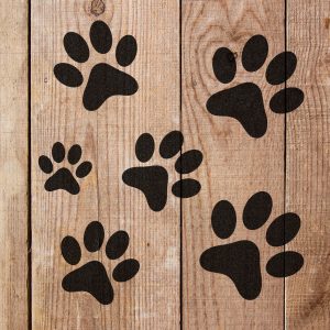 Paw Prints Stencil - Art and Wall Stencil - Image 3