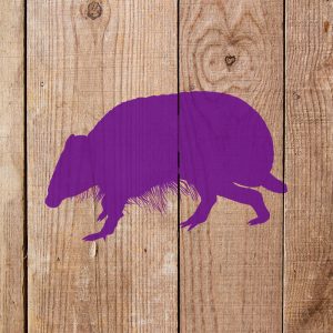 Rat Stencil - Art and Wall Stencil - Image 4