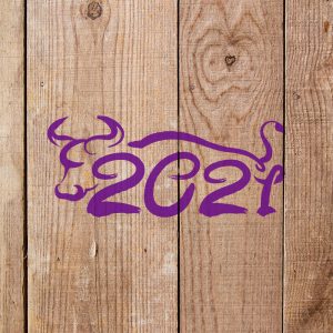 2021 with a Bull Stencil - Art and Wall Stencil - Image 4