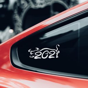 2021 with a Bull Stencil - Art and Wall Stencil - Image 3