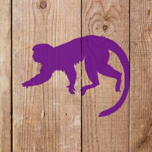 Monkey Stencil - Art and Wall Stencil - Image 4