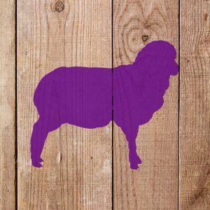 Sheep Stencil - Art and Wall Stencil - Image 4