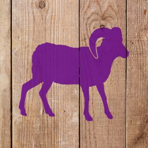 Ram Stencil - Art and Wall Stencil - Image 3