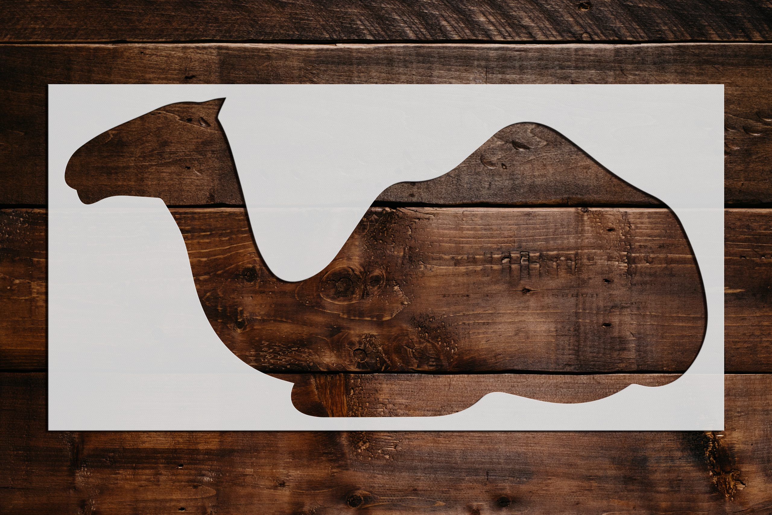 Camel Stencil - Art and Wall Stencil - Stencil Giant