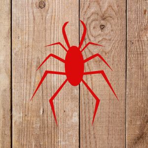 Spider Stencil - Art and Wall Stencil - Image 4