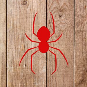 Spider Stencil - Art and Wall Stencil - Image 5
