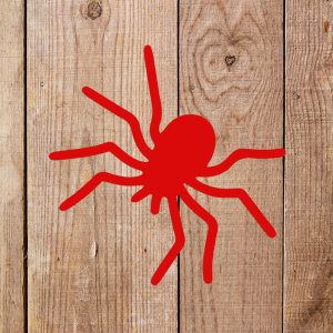 Spider Stencil - Art and Wall Stencil - Image 3