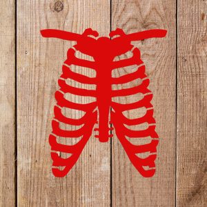 Bones Stencil - Art and Wall Stencil - Image 3