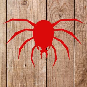 Spider Stencil - Art and Wall Stencil - Image 5