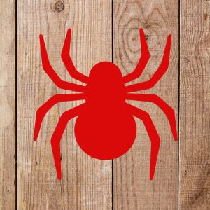 Spider Stencil - Art and Wall Stencil - Image 4