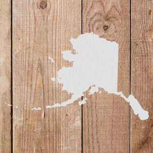Alaska State Stencil - Art and Wall Stencil - Image 5