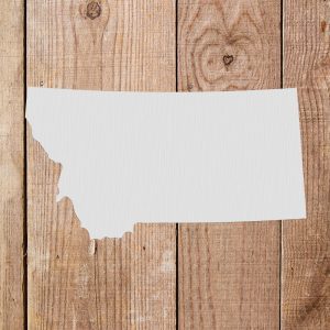 Montana State Stencil- Art and Wall Stencil - Image 4