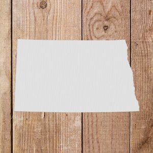 North Dakota State Stencil- Art and Wall Stencil - Image 5