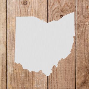 Ohio State Stencil - Art and Wall Stencil - Image 5