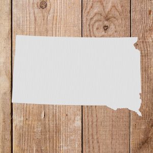 South Dakota State Stencil- Art and Wall Stencil - Image 4