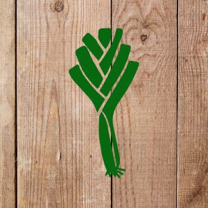 Leek Stencil - Image 5