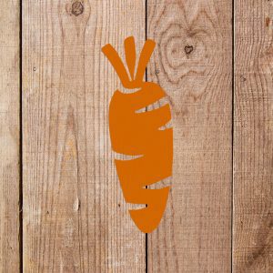Carrot Stencil - Image 4