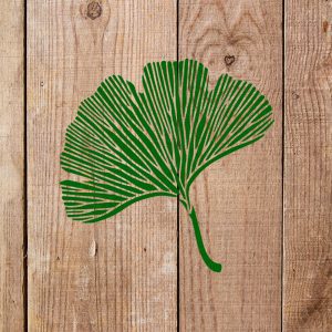 Ginkgo Biloba Stencil - Art and Wall Stencil - Image 3